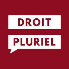 Logo Droit Pluriel